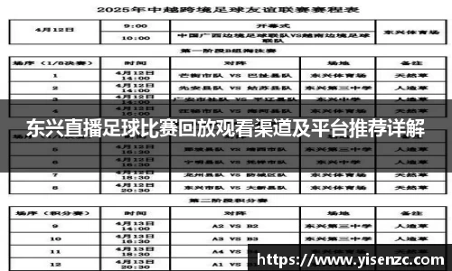 东兴直播足球比赛回放观看渠道及平台推荐详解